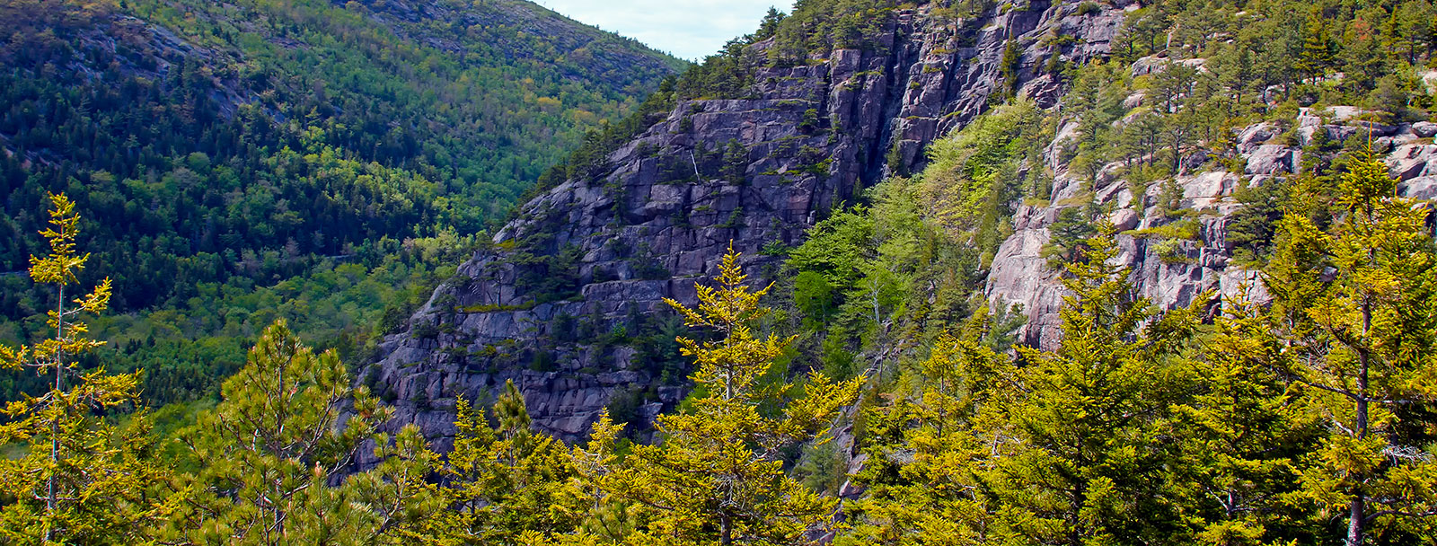 maine-landscape - University Credit Union